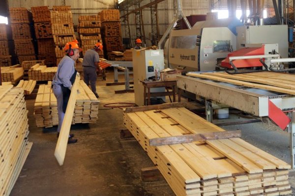 MAL DIAGNÓSTICO! Aserraderos en Corrientes trabajan al 40% y peligran empleos
