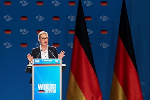 La extrema derecha de AfD, a sólo un 1% de los conservadores en las encuestas alemanas