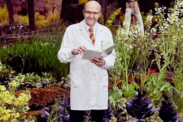 Nutrición minimalista, Miguel Ángel Martínez-González, catedrático de salud pública, define lo único que necesitas saber para comer bien
