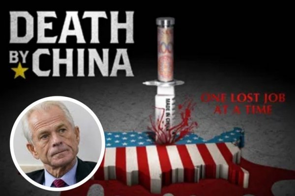 Quién es Peter Navarro, el arquitecto de los aranceles de Trump que se inspiró en un economista ficticio y que está enfrentado a Elon Musk