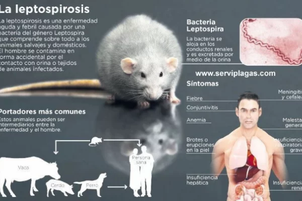 HOSPITAL DE CAMPAÑA! Dan de alta a paciente con Hantavirus en Corrientes