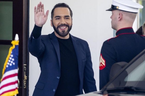 Un congresista de California pide perdón tras llamar «presidente Bukake» a Bukele