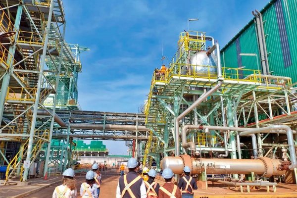 LA MÁS GRANDE! Activan en Virasoro Corrientes la segunda planta eléctrica por biomasa