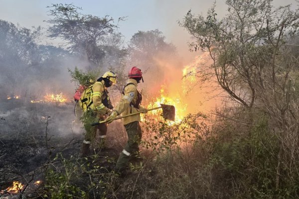FUEGO! Cuánto Invirtió el gobierno de Corrientes para combatir incendios