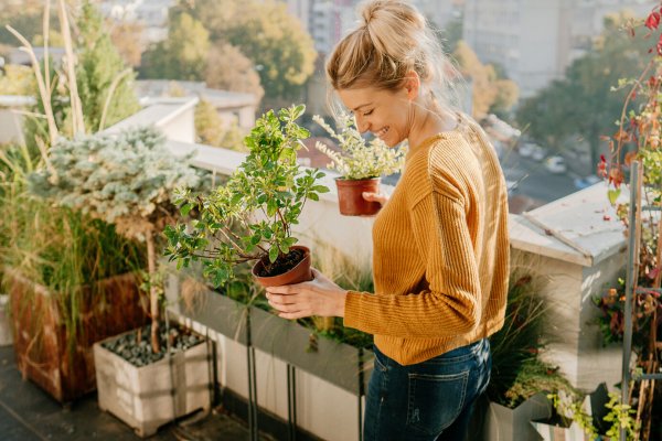 7 actividades de plantfulness para encontrar la paz y el bienestar a través de tus macetas