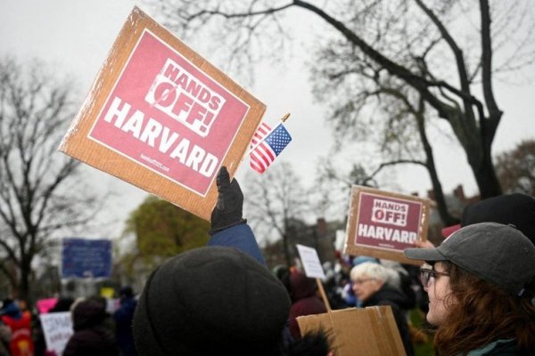 Harvard demanda al gobierno de Trump por la congelación de fondos para la investigación