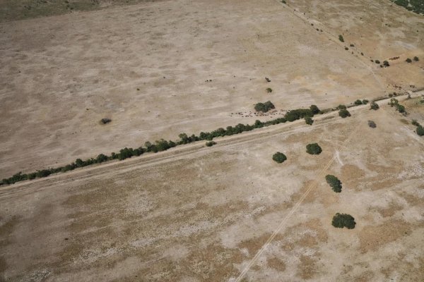 AHORA! El Gobierno Nacional declaró la emergencia agropecuaria para Chaco y Santa Fe