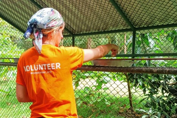 El turismo de voluntariado internacional crece un 50% y se diversifica