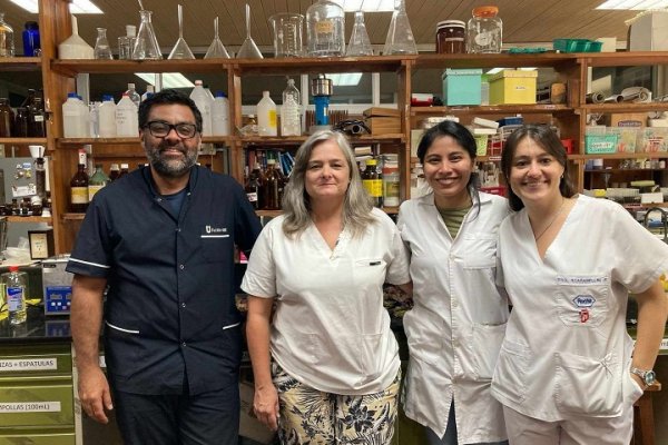 Corrientes: Buscan propiedades antimicrobianas en dos plantas utilizadas por la medicina tradicional