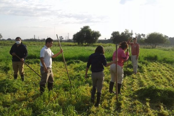 INSEGURIDAD VIAL! Clamor de tutores de alumnos de la ERAGIA Corrientes