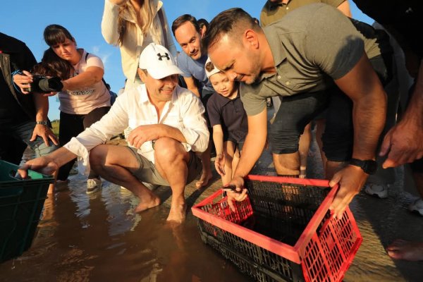 DE GORRA Y EN PATAS! El gobernador de Corrientes liberó 5000 alevines de Surubí al Paraná