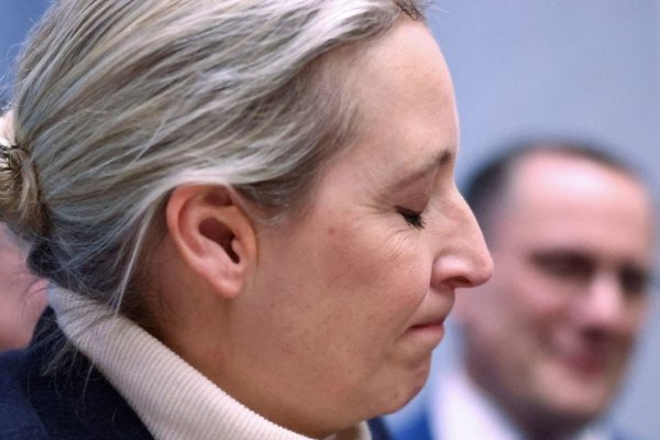 El servicio secreto alemán declara a la ultraderecha de AfD «contraria a la Constitución» y abre la puerta a ilegalizarla