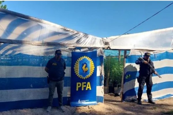 IMÁGENES! Vivero de Marihuana descubierto por la Policía Federal en Corrientes