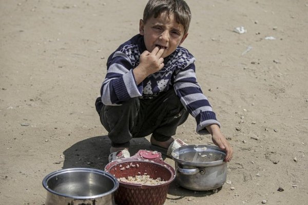 Israel se anexiona más de la mitad de Gaza tras dos meses de bloqueo