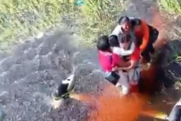 Cinco personas sobreviven 36 horas en un pantano rodeados de caimanes tras un accidente de avioneta