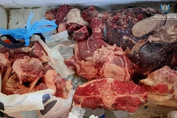 HAMBRE Y DELITO! Secuestran cientos de kilos de carne robada