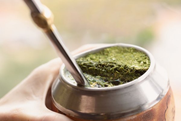 INFORME! La cosecha de yerba mate cayó a mínimos históricos y crece la preocupación por la crisis del sector