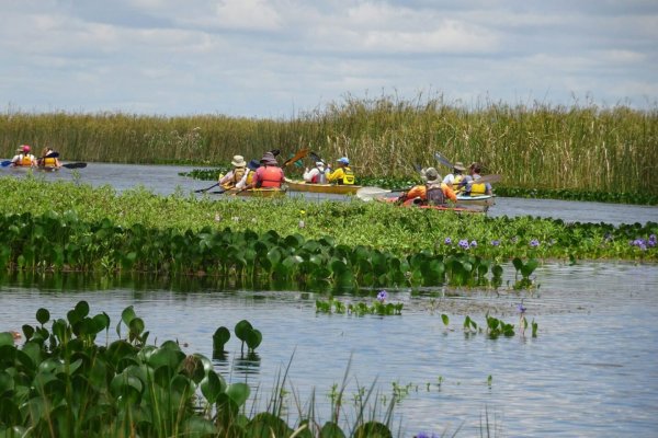 BUENA NOTICIA! Esteros del Iberá y Goya las más elegidas para el fin de semana largo