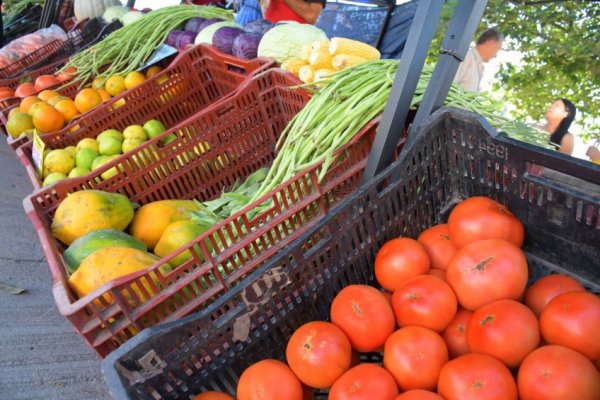 LINDO Y BARATO! Las ferias continúan el recorrido semanal por la ciudad