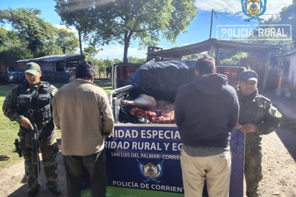 SAN LUIS! Llevaba una vaca faenada en un Ford Ranger