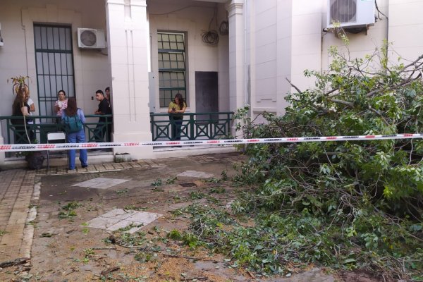 REBELIÓN! Docentes y alumnos correntinos preocupados por la instalación de una central eléctrica