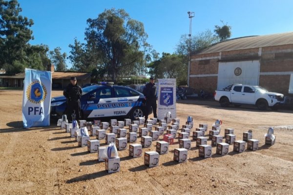 PAVAS CALIENTES! Policía Federal paró a un Flecha Bus y se encontró con una sorpresa