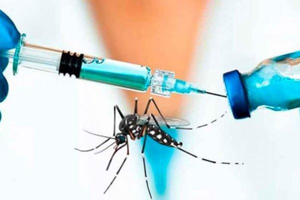 EXCLUSIVO! Corrientes es la provincia que más caro compró la vacuna contra el Dengue