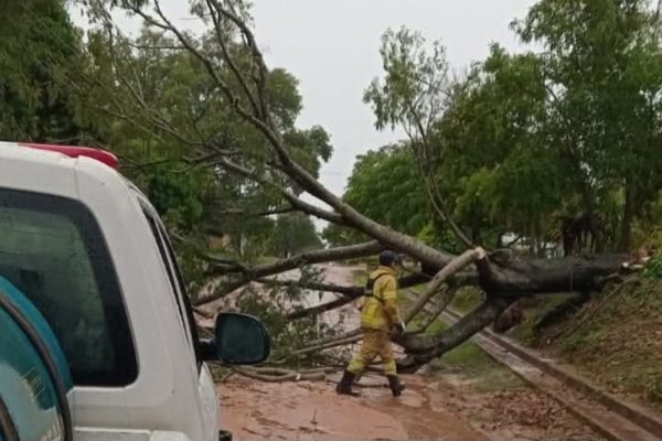 INTERIOR! Algunas localidades correntinas con problemas después de la lluvia