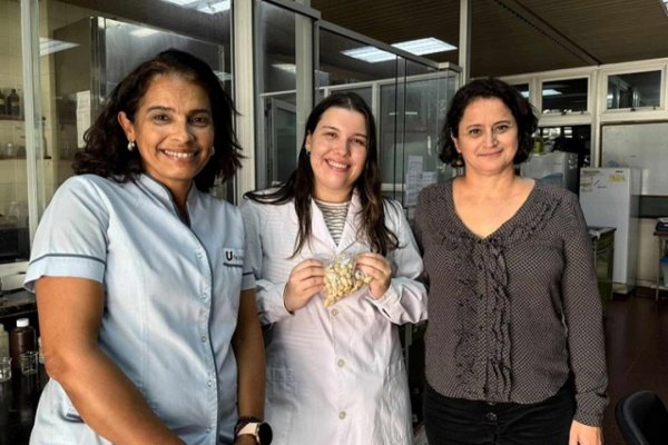 CHAÑAR! Un árbol con frutos de alto valor nutricional que la ciencia en la UNNE quiere aprovechar