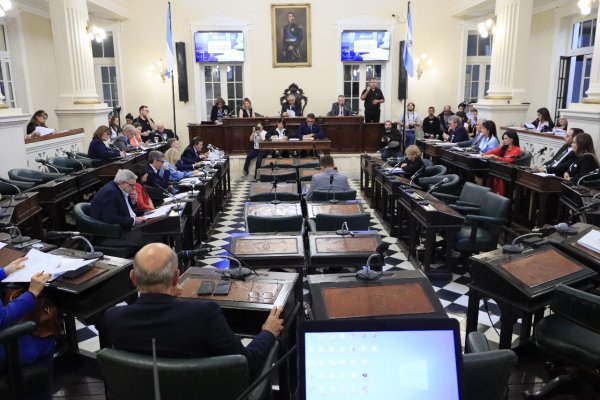 LEGISLATURA! Diputado liberal pidió el cese de la violencia política en Corrientes