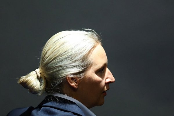 La extrema derecha alemana comienza a caer en las encuestas