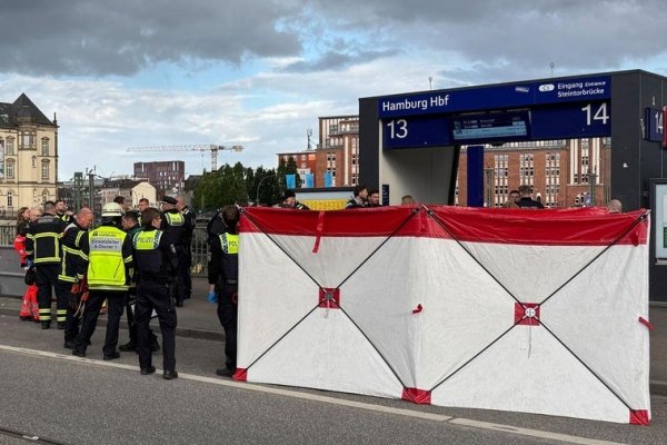 Al menos 12 heridos, seis de ellos en estado crítico, en un apuñalamiento en la estación de trenes de Hamburgo