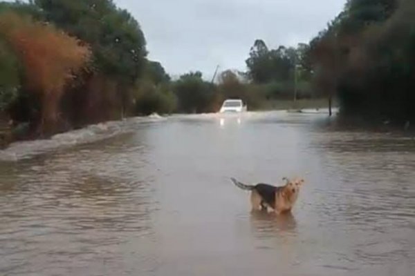 ALERTA! Intensas precipitaciones en el interior de Corrientes