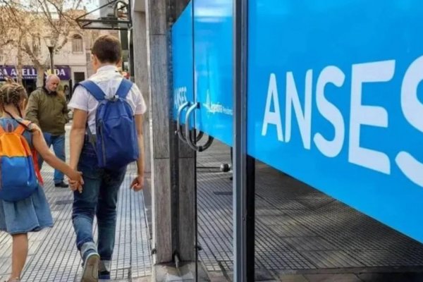 Cuál es el grupo de ANSES que puede quedarse sin el Programa Hogar en los próximos meses
