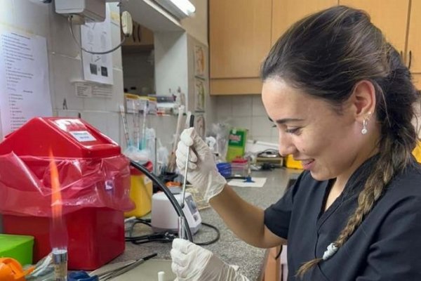 INVESTIGACIÓN! Estudian en la UNNE la resistencia a anti en cepas de escherichia colí de origen animal