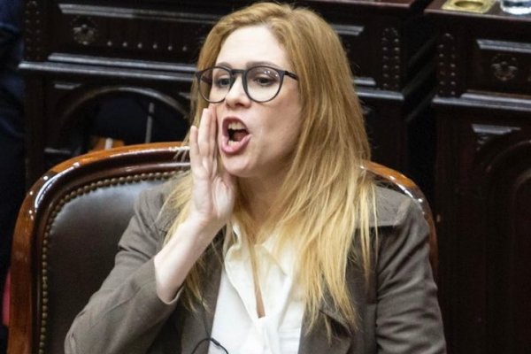 Fuerte repudio contra Lilia Lemoine por el odioso y provocador mensaje sobre el fotógrafo reprimido en el Congreso