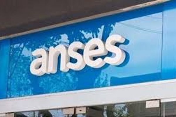 Cómo podés bajar de ANSES la constancia de CUIL y para qué sirve