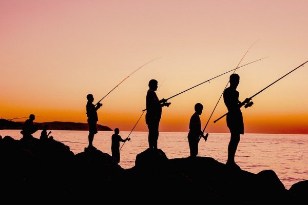 ÚNICA! Licencia de pesca deportiva para toda la Región Litoral