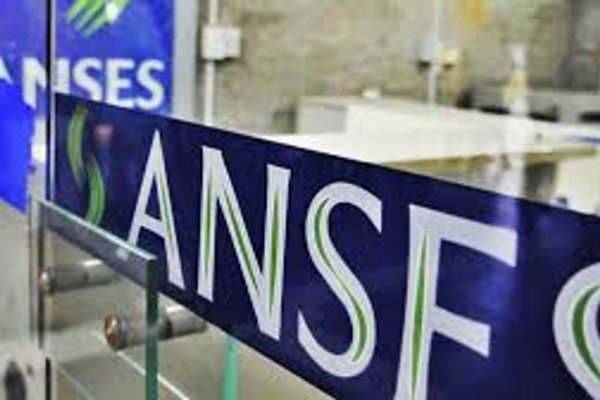 Así podés ver las liquidaciones de AUH y SUAF de ANSES de junio 2025