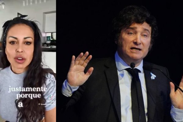 ¡Nos están fundiendo! La influencer y emprendedora que votó a Milei disparó durísimo contra el Gobierno