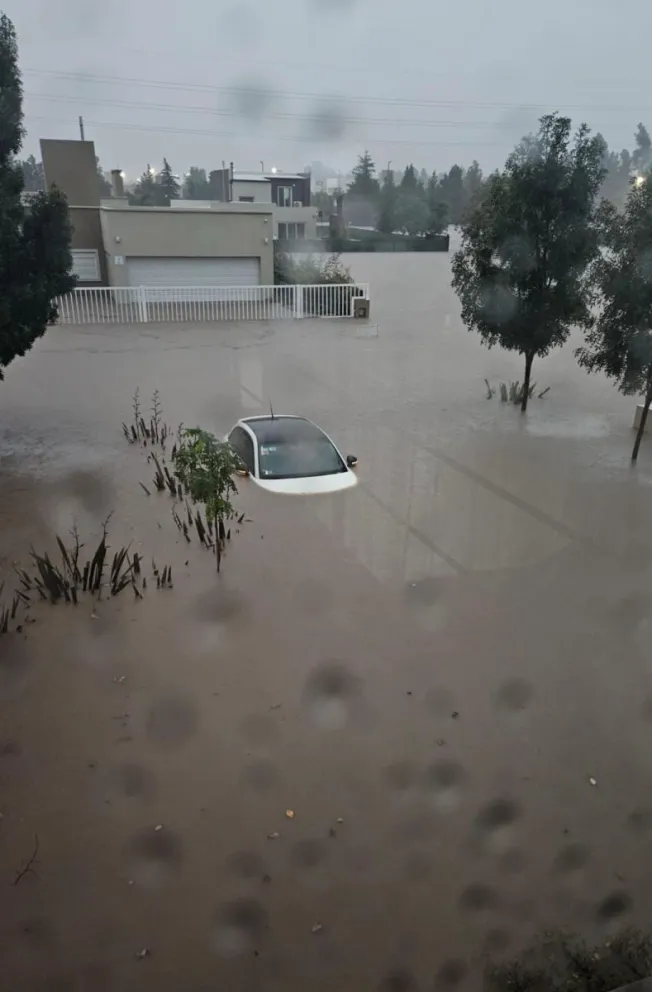 Milei vetó la ley de emergencia para Bahía Blanca por las inundaciones