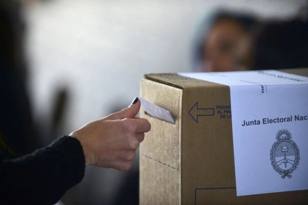 RUMBO AL 31 DE AGOSTO! Una encuesta nacional revela que crece el escepticismo hacia el voto