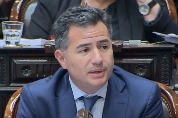Gabriel Bornoroni insiste con los 
