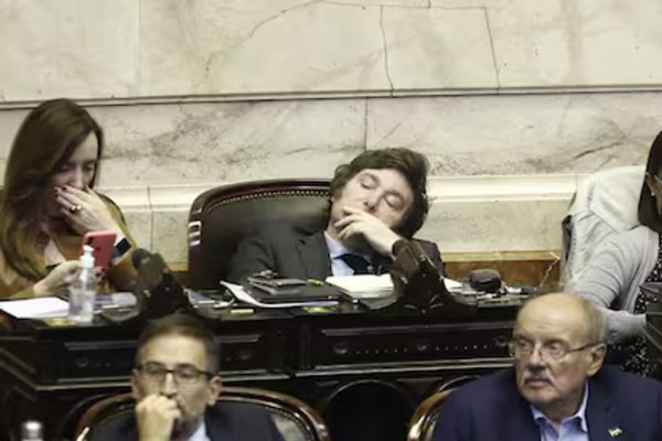 El diputado Tomás Ledesma explicó cómo hacía Milei para dormir en el recinto cuando era diputado