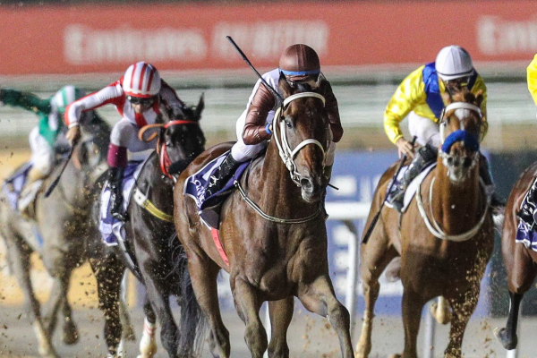 Carreras de caballos: historia y tradiciones de un siglo de deporte ecuestre