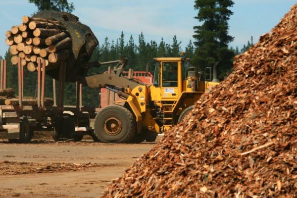 MOTOSIERRA! Una importante forestal en Corrientes paga solamente el 30% de salarios a empleados
