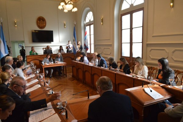 A COMISIÓN! Vamos Corrientes no aprobó repudio contra el veto de Milei a la emergencia en discapacidad y jubilaciones