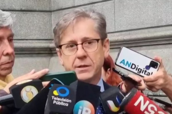 MAL PRONÓSTICO! El Jefe del bloque radical anticipa rechazo del Senado a los vetos