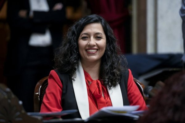 Leila Chaher: “El Congreso le dio la segunda derrota a Milei ”
