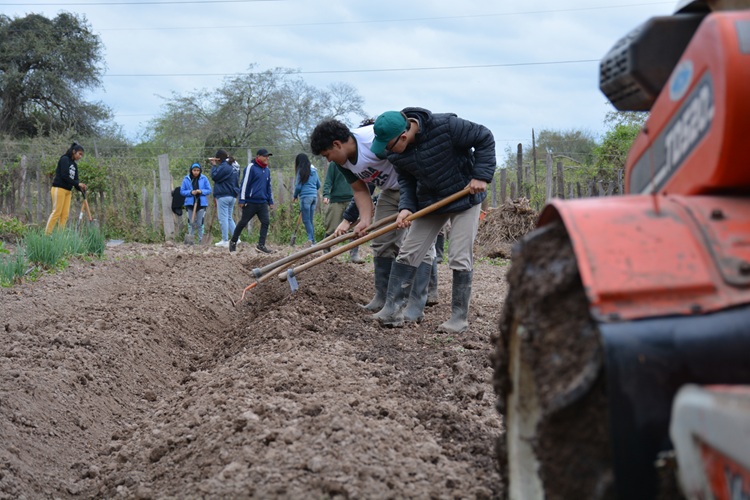 Trabajando en la huerta de la escuela Cacique Zupaz